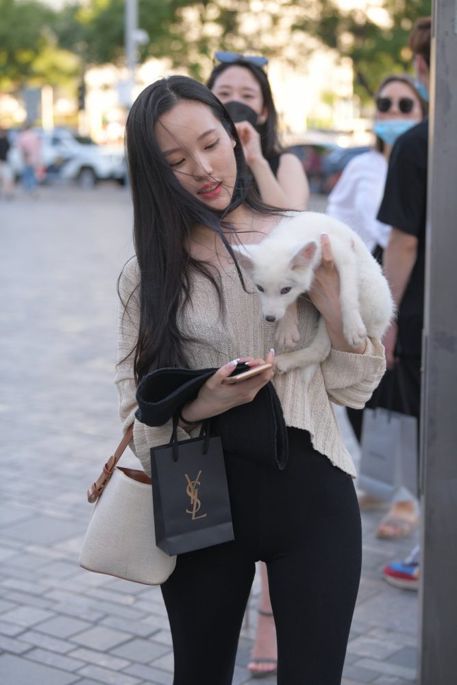 抱着小狗的漂亮女孩 J2106 136P-3.25GB-小春日